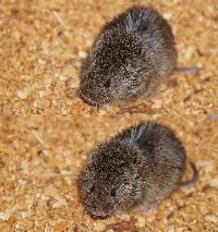 ������������������� �������